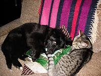 IMG_1030.jpg